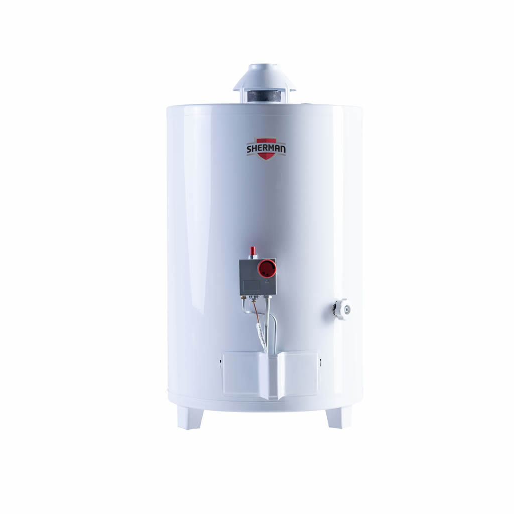Termotanque A Gas De Pie 50 Litros